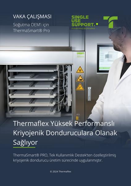 document-preview-image